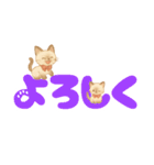 シャム猫mimi♪デカ文字スタンプ（個別スタンプ：16）