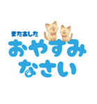 シャム猫mimi♪デカ文字スタンプ（個別スタンプ：17）