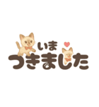 シャム猫mimi♪デカ文字スタンプ（個別スタンプ：23）