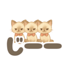 シャム猫mimi♪デカ文字スタンプ（個別スタンプ：25）