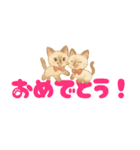 シャム猫mimi♪デカ文字スタンプ（個別スタンプ：26）