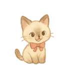 シャム猫mimi♪デカ文字スタンプ（個別スタンプ：28）