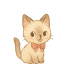 シャム猫mimi♪デカ文字スタンプ（個別スタンプ：31）