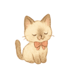 シャム猫mimi♪デカ文字スタンプ（個別スタンプ：34）