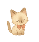 シャム猫mimi♪デカ文字スタンプ（個別スタンプ：37）