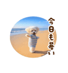 踊る夏のモフモフ！（個別スタンプ：6）