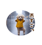 踊る夏のモフモフ！（個別スタンプ：9）