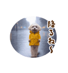 踊る夏のモフモフ！（個別スタンプ：10）