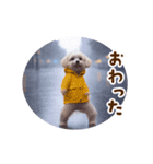 踊る夏のモフモフ！（個別スタンプ：11）