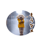 踊る夏のモフモフ！（個別スタンプ：12）