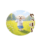 踊る夏のモフモフ！（個別スタンプ：13）