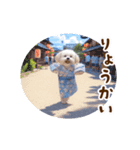 踊る夏のモフモフ！（個別スタンプ：18）