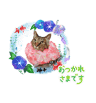 猫あつまる（個別スタンプ：1）