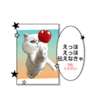 猫あつまる（個別スタンプ：2）