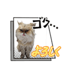 猫あつまる（個別スタンプ：8）