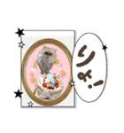 猫あつまる（個別スタンプ：11）
