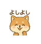 甘えん坊ふわふわ柴犬スタンプ（個別スタンプ：4）