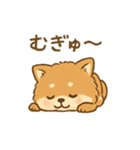 甘えん坊ふわふわ柴犬スタンプ（個別スタンプ：5）