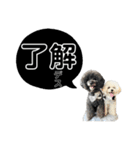 よく使う言葉たち 3（個別スタンプ：8）