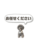 よく使う言葉たち 3（個別スタンプ：22）