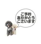 よく使う言葉たち 3（個別スタンプ：23）