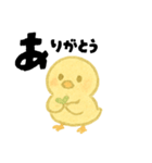 【毎日使える】ひよこスタンプセット3（個別スタンプ：1）