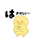 【毎日使える】ひよこスタンプセット3（個別スタンプ：16）