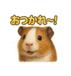 週末だ！モルモットのご褒美ラインスタンプ（個別スタンプ：4）