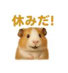 週末だ！モルモットのご褒美ラインスタンプ（個別スタンプ：5）