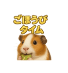 週末だ！モルモットのご褒美ラインスタンプ（個別スタンプ：10）