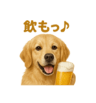 週末だ！ゴールデンレトリバーのご褒美（個別スタンプ：3）