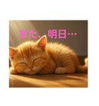 子茶トラ可愛すぎ（個別スタンプ：4）