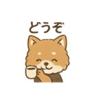 従順ふわふわ柴犬スタンプ（個別スタンプ：4）