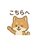 従順ふわふわ柴犬スタンプ（個別スタンプ：5）