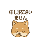 従順ふわふわ柴犬スタンプ（個別スタンプ：6）