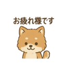 従順ふわふわ柴犬スタンプ（個別スタンプ：7）