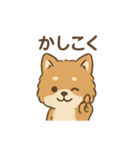 従順ふわふわ柴犬スタンプ（個別スタンプ：8）