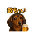 週末だ！ミニチュアダックスフンドのご褒美（個別スタンプ：3）