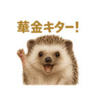 週末だ！ハリネズミのご褒美ラインスタンプ（個別スタンプ：1）
