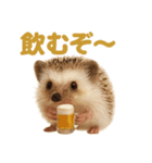 週末だ！ハリネズミのご褒美ラインスタンプ（個別スタンプ：12）