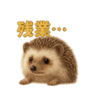 週末だ！ハリネズミのご褒美ラインスタンプ（個別スタンプ：15）