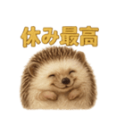 週末だ！ハリネズミのご褒美ラインスタンプ（個別スタンプ：16）