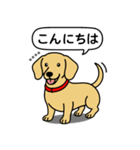 名前入りダックス：スムースイエロー（個別スタンプ：1）