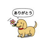 名前入りダックス：スムースイエロー（個別スタンプ：2）