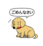 名前入りダックス：スムースイエロー（個別スタンプ：3）