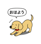 名前入りダックス：スムースイエロー（個別スタンプ：4）