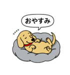 名前入りダックス：スムースイエロー（個別スタンプ：5）