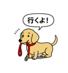 名前入りダックス：スムースイエロー（個別スタンプ：7）