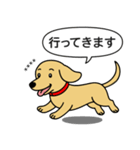 名前入りダックス：スムースイエロー（個別スタンプ：9）