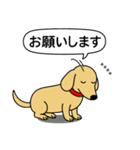名前入りダックス：スムースイエロー（個別スタンプ：11）